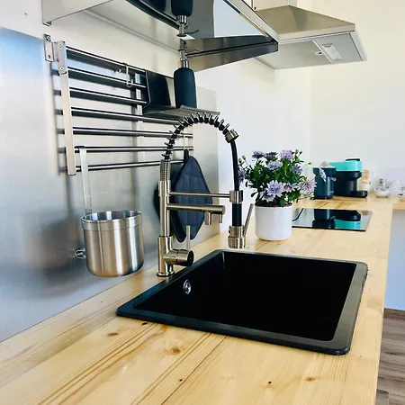 Elegant Penthouse Near