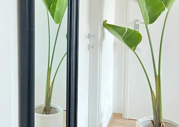 Elegant Penthouse Near * Bari