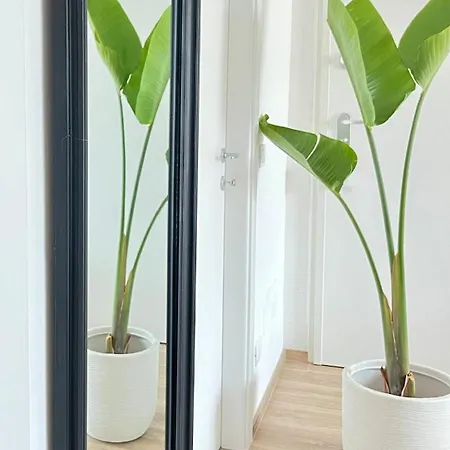 Elegant Penthouse Near * 바리