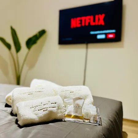 Elegant Penthouse Near Apartment