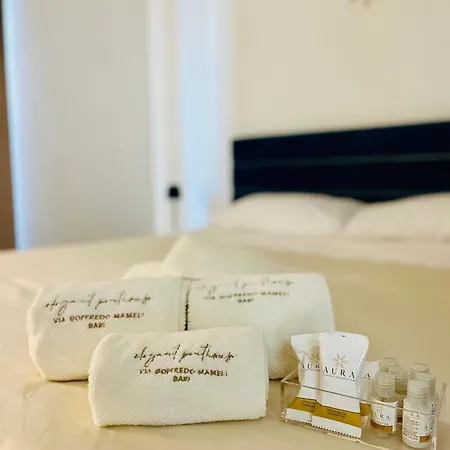 Elegant Penthouse Near Apartment *